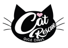 Cat Rescue Gold Coast