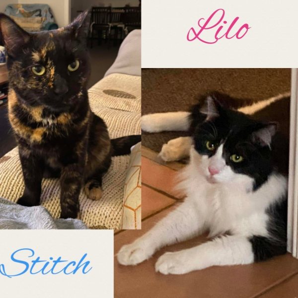 inbound7649522142905815300